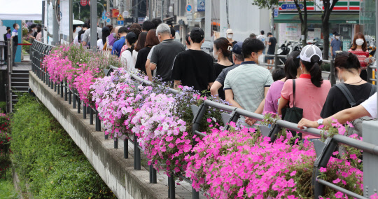 삼복 더위에 긴 검사 행렬 이중고      (서울=연합뉴스) 황광모 기자 = 신종 코로나바이러스 감염증(코로나19) 신규 확진자가 1주일째 1천 명 이상 기록 중인 13일 오전 서울 성북구 돈암동 성북천 변에 마련된 바람마당 임시선별검사소에 코로나19 검사를 받으려는 시민들이 불볕더위 속에 대기하고 있다.       hkmpooh@yna.co.kr  (끝)